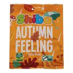 پاستیل بدون رنگ مصنوعی با 30% قند کاهش یافته با طعم حس پاییز 80 گرمی شیبا thumb 1